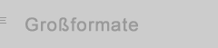 Repraesentative Formate